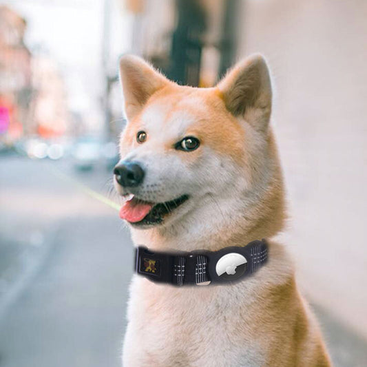 Dog Collar with AirTag Holder 📱🐾 - The Fluffy Paw